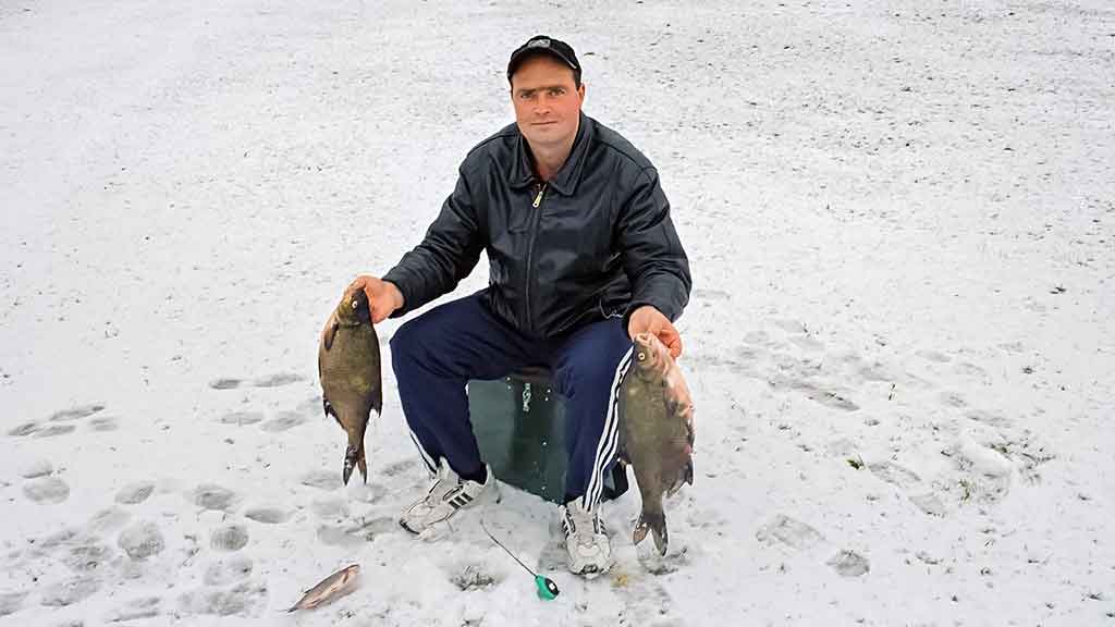 Šiek tiek kitaip apie karšių jaukinimą