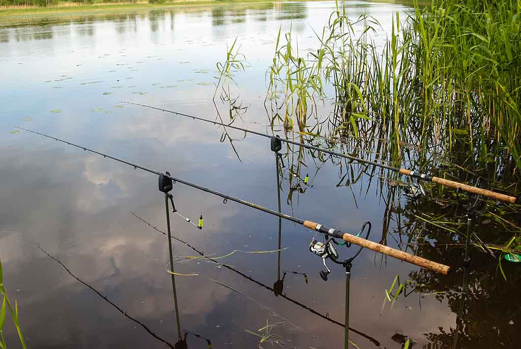 Plačiau apie viršūnėles ir šiek tiek apie dugnines. Antra dalis