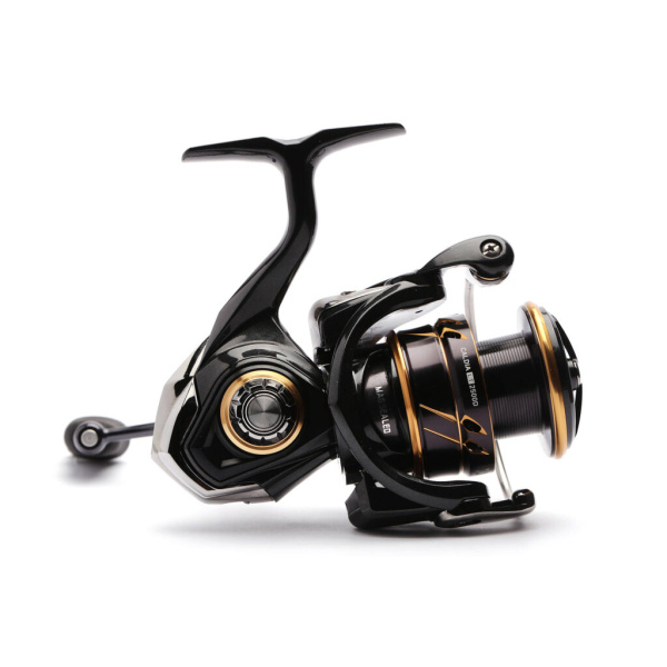 Ritė Daiwa 22 Caldia MQ LT 2500-XH