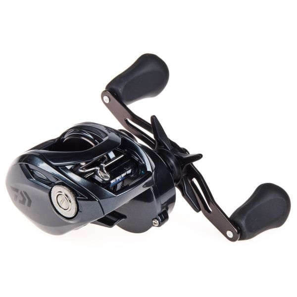 Ritė multiplikatorinė Daiwa Tatula TWS 300HL